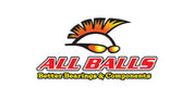 All Balls Racing Inc All Balls Wheel Bearing Kit 25-1577