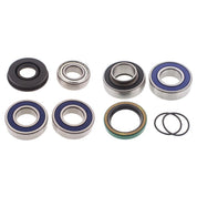 Lower Drive & Upper Jack Shaft Bearing & Seal Kit 500 SS Legend / GT Sport 04