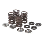 Kibblewhite Spring Kit 0.500" Lift - 82-82200