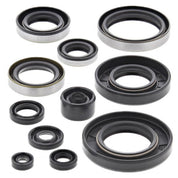 Vertex Oil Seal Kit 822288