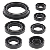 Vertex Oil Seal Kit 822690