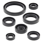Vertex Oil Seal Kit 822692