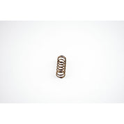 WSM Power Valve Spring for Sea-Doo 951 DI 00-07 010-034