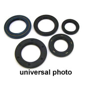 Vertex Oil Seal Kit 822316