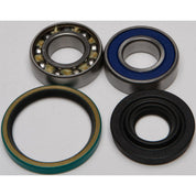 All Balls Drive Shaft Bearing and Seal Kit (Lower Shaft - Track) 14-1017