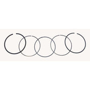 WSM Piston Rings For Mercury / Mariner / Yamaha 150 - 250 Hp 4 Stroke Standard