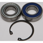 All Balls Drive Shaft Bearing and Seal Kit (Lower Shaft - Track) 14-1069