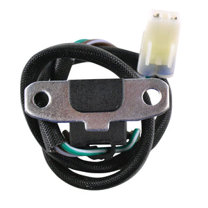 Descriptive image text