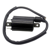 RMStator Ignition Coil RM06066