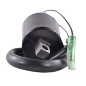 RMStator Ignition Coil RM06088