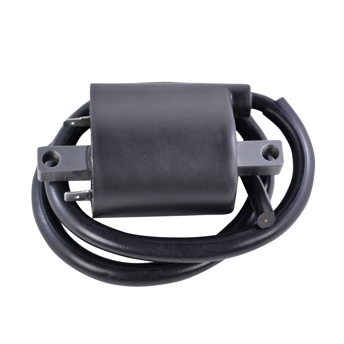 RMStator Ignition Coil RM06168