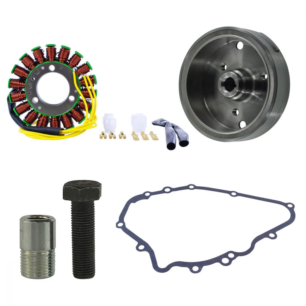 RMStator Generator Stator Kit with Crankcase Gasket, Flywheel, with Puller