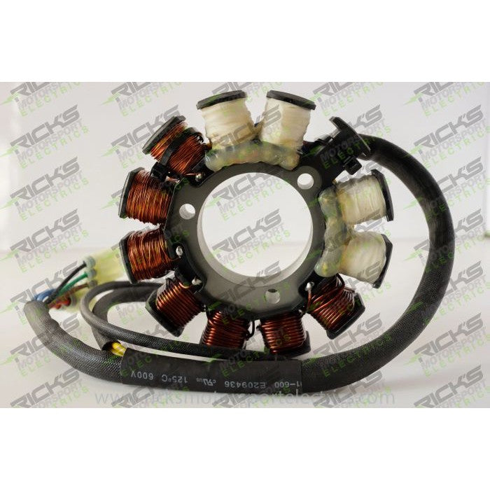 Ricks Stator 24-005