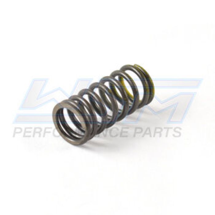 WSM Valve Spring Inner - 010-031