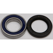 All Balls Racing Inc Rear Wheel Bearing Kit - Both Wheels 25-1118