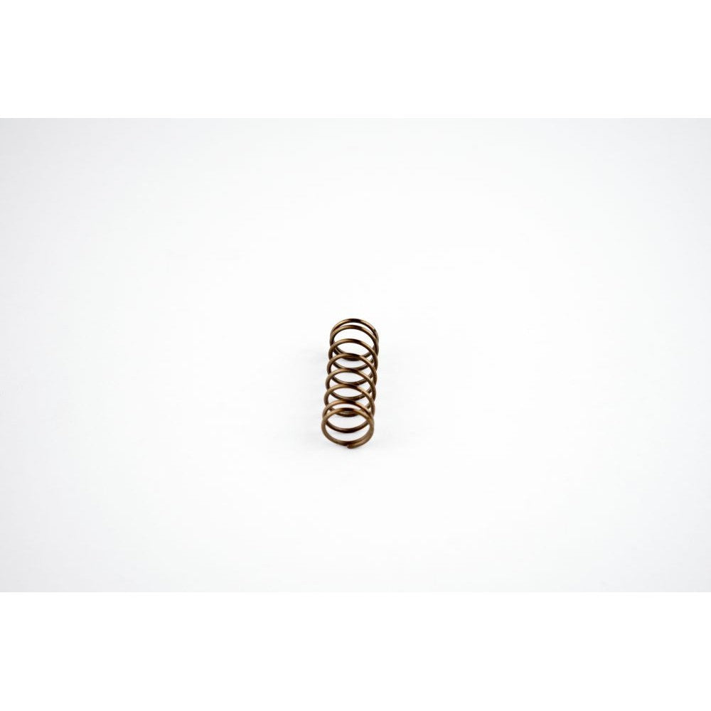 WSM Power Valve Spring for Sea-Doo 951 DI 00-07 010-034