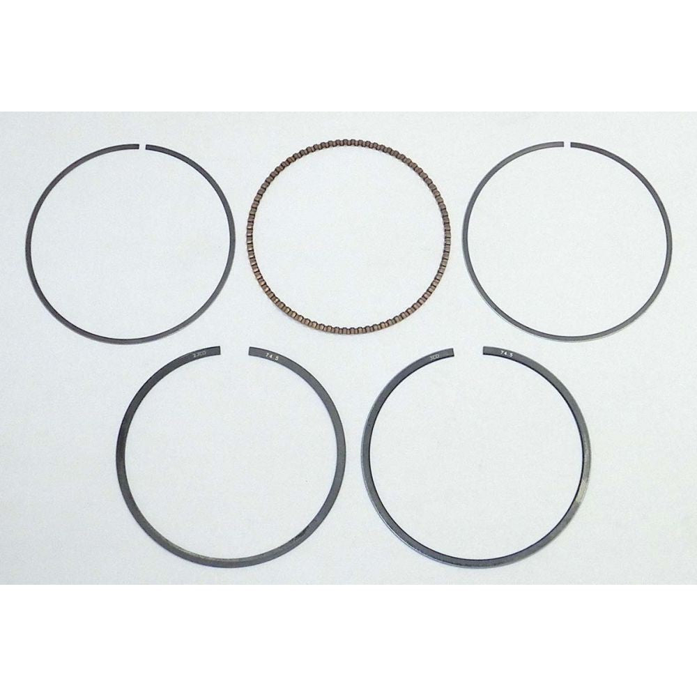 WSM Piston Ring Set .25mm Over - 010-964-04