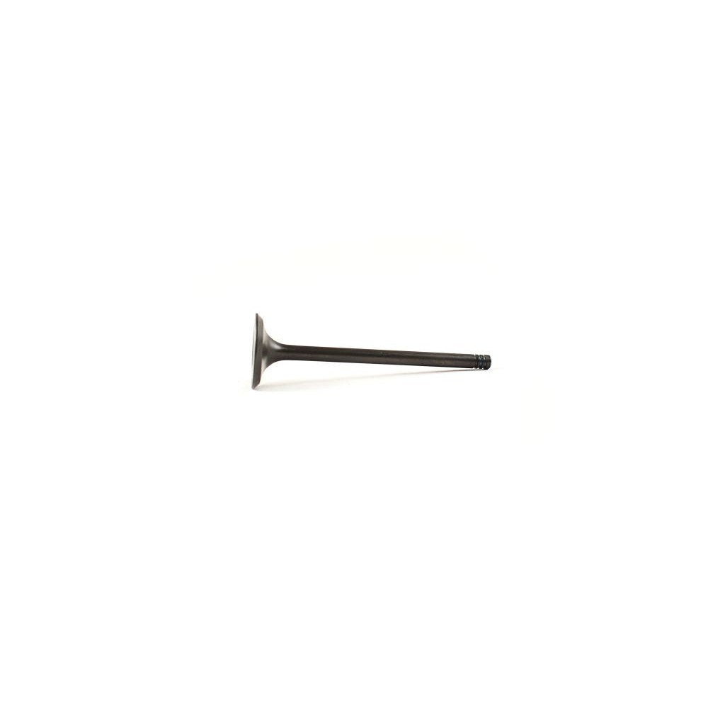 WSM Intake Valve for Yamaha 75 - 115 Hp 4-Stroke 99-11 120-190
