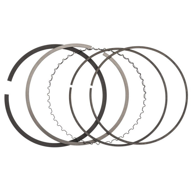 ATHENA S41316062 PISTON RINGS KIT - F