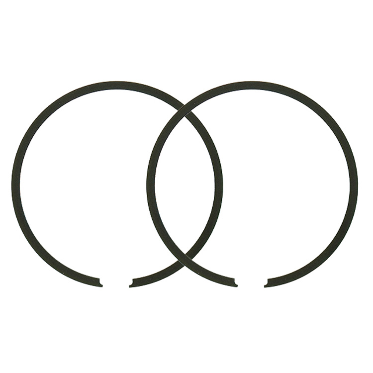 SPI 09-689R Oem Style Ring Set