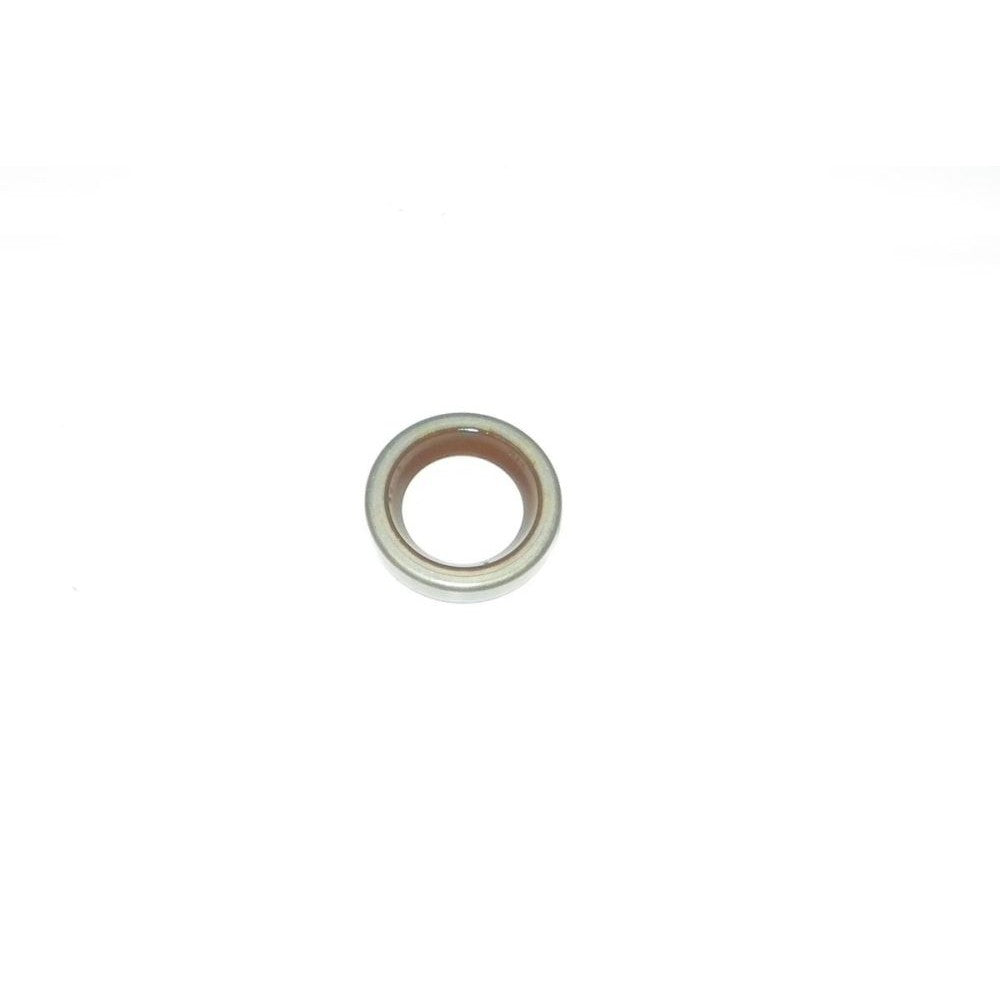 WSM Crankshaft Seal for Johnson / Evinrude 5 - 15 Hp 74-07 550-15