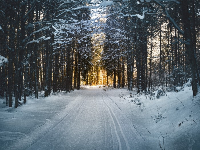 Snowmobile Vs. Snow Bike: What’s The Difference