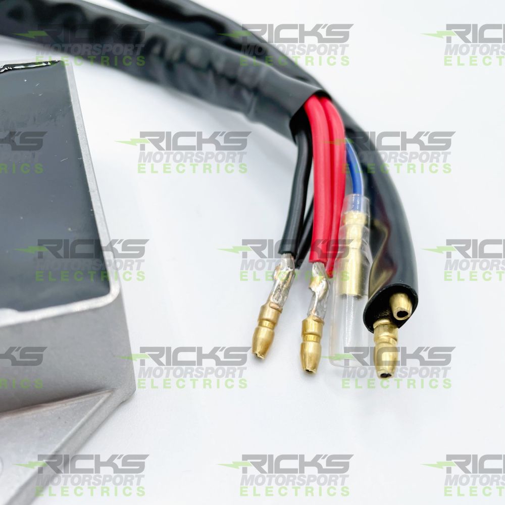 Ricks Hot Shot Series Rectifier-Regulator 10-001H