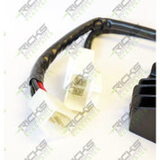 Ricks Hot Shot Series Rectifier-Regulator 10-031H