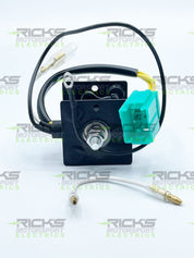 Ricks Rectifier Only 10-300