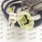Ricks Rectifier-Regulator 10-S120