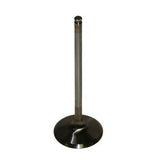 Pro Marine Intake Valve 12004