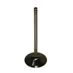 Pro Marine Intake Valve 12004