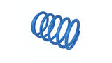 Straightline Adapt Primary Spring 120-300 124-183