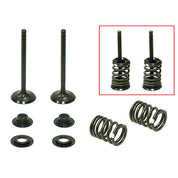 Psychic Products Psychic Valve Kit- Intake XU-09558IK