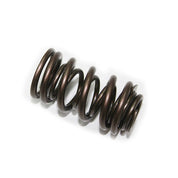 Psychic Exhaust Valve Spring XU-09537ES