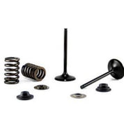 Bronco Exhaust Valve AU-09226E