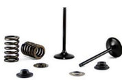 Bronco Exhaust Valve AU-09230E