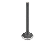 Bronco Intake Valve AU-09230I