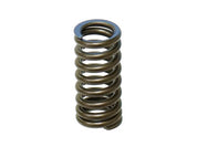 Intake Valve Spring XU-09532-1IS