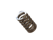 Exhaust Valve Spring XU-09560ES