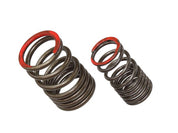 Exhaust Valve Spring XU-09561ES