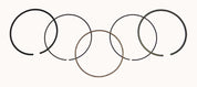 WSM Piston Rings For Honda 420 TRX 07-23 .25mm Over 51-231-04