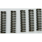 EBC CSK Series Heavy Duty Clutch Spring Kit for Kawasaki NINJA ZX-9R 2000-2003