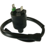 Bobina de encendido Wildboar 160-01073