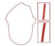 SPI Chaincase Gasket SM-03227