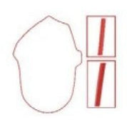 SPI Chaincase Gasket SM-03227
