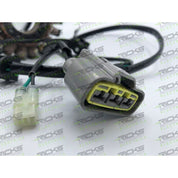 Ricks Stator 21-036