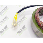 Ricks Stator 21-171