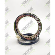 Ricks Stator 21-247