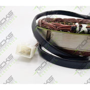 Ricks Stator 21-247